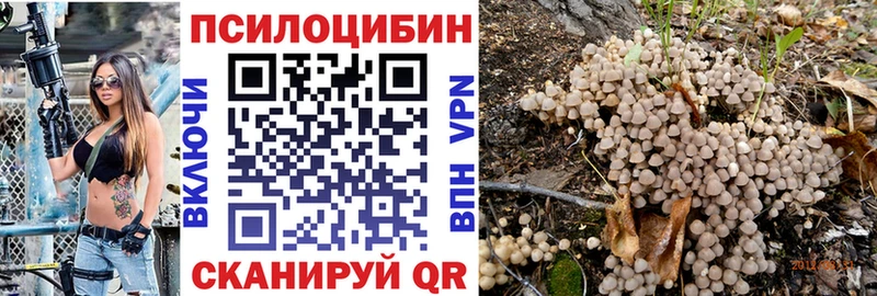 Псилоцибиновые грибы Cubensis  Подольск 